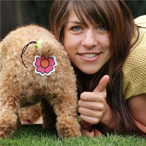 7 Stupid Things Dog Owners Do 7 Stupid Things Dog Owners Do