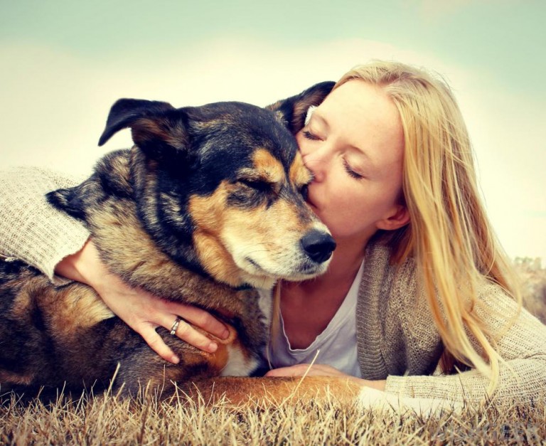 dog owner, bernese mountain dog