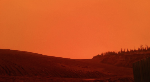 for mcmurray, wildfire, pets, dogs