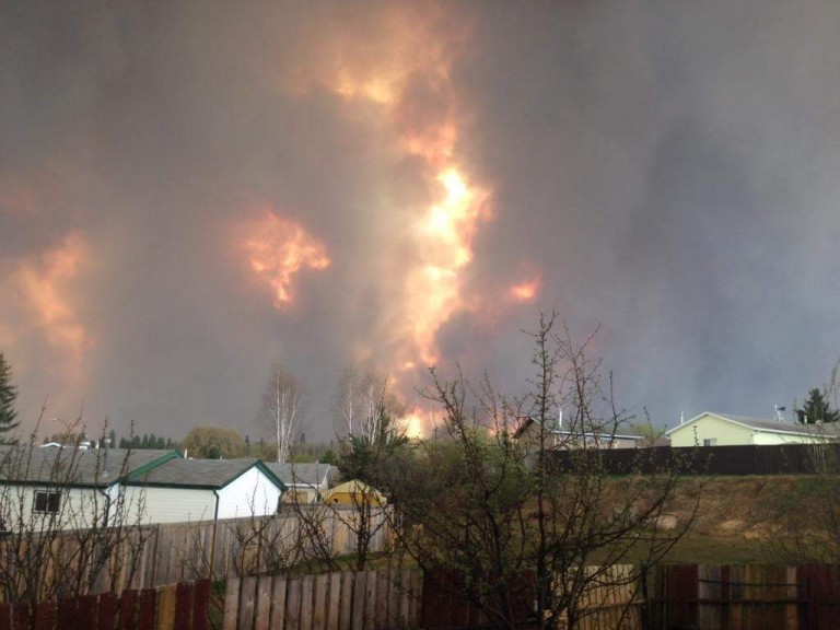 PetSmart Donates 100K to pets in Fort McMurray Wildfires PetSmart Donates 100K to pets in Fort McMurray Wildfires