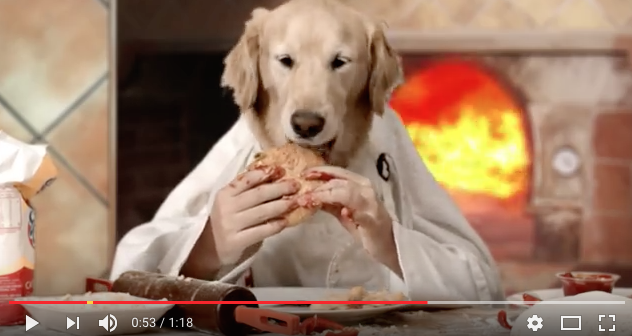 dog pizza