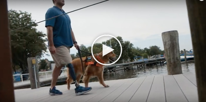 cute dog video, funny dog video, cute dog videos, funny dog videos