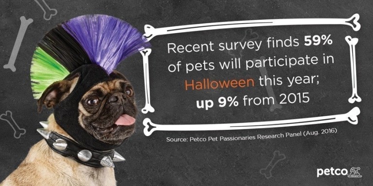 Majority of Pets will Participate in Halloween: Survey