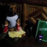 standing-dog-cute-dog-video-2