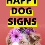 dog body language