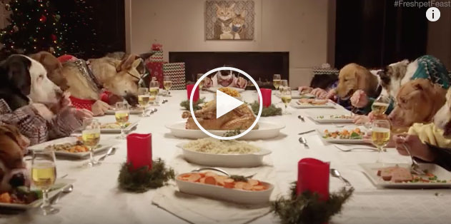 Dogs Gather Around Table for Christmas Feast Dogs Gather Around Table for Christmas Feast