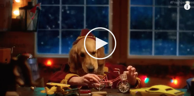 VIDEO: Dog Elves Make Human Toys for Christmas VIDEO: Dog Elves Make Human Toys for Christmas