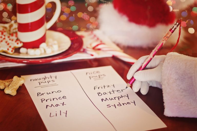 dog christmas crafts