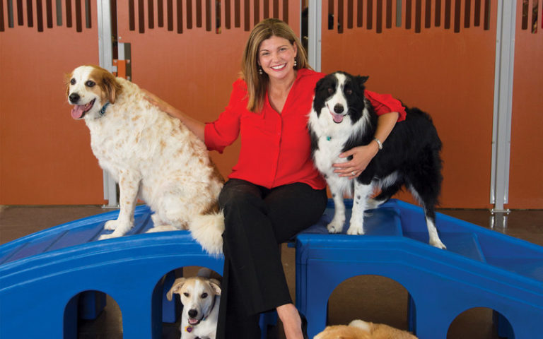 camp for dogs
