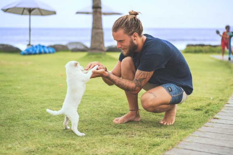 Cannabis Pain Relief for Dogs? This Product is An Alternative to Opioids