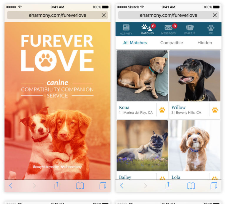 dog eharmony