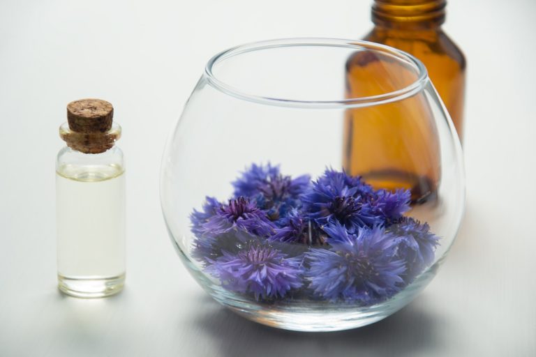 10+ Safe Essential Oils for Dogs: Allergies, Hot spots, Arthritis, Calming 10+ Safe Essential Oils for Dogs: Allergies, Hot spots, Arthritis, Calming
