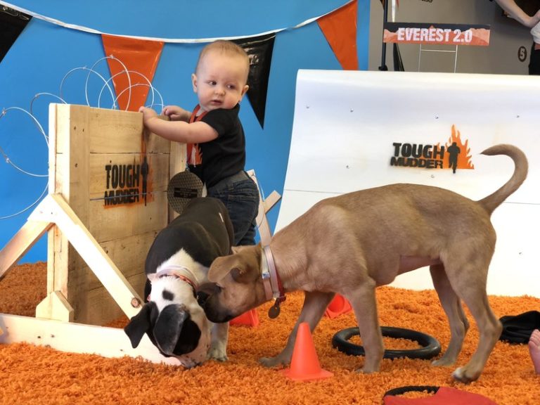 Tough Mudder Launches Adorable New Event Series “Baby Puppy Mudder”