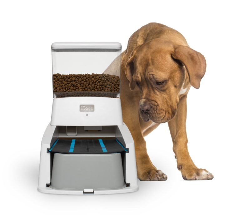 automatic dog feeder