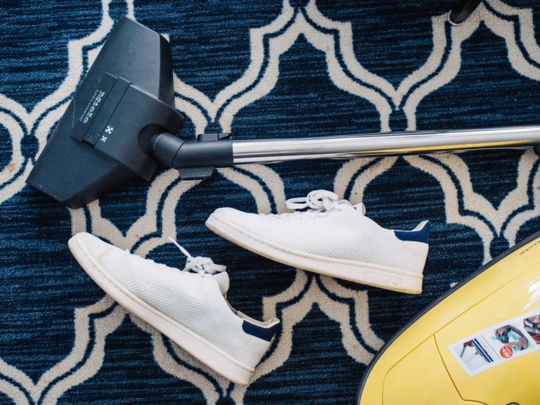 5 Important Things To Consider When Choosing A Pet Vacuum Cleaner 5 Important Things To Consider When Choosing A Pet Vacuum Cleaner