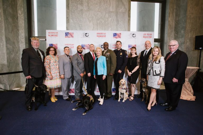 Meet This Year’s U.S. Military Dogs Who Received Nation’s Top Honors Meet This Year’s U.S. Military Dogs Who Received Nation’s Top Honors