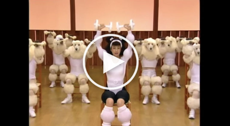Poodle Woman Exercises With Poodles… WTF?