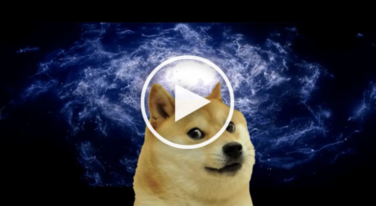 guided dog meditation