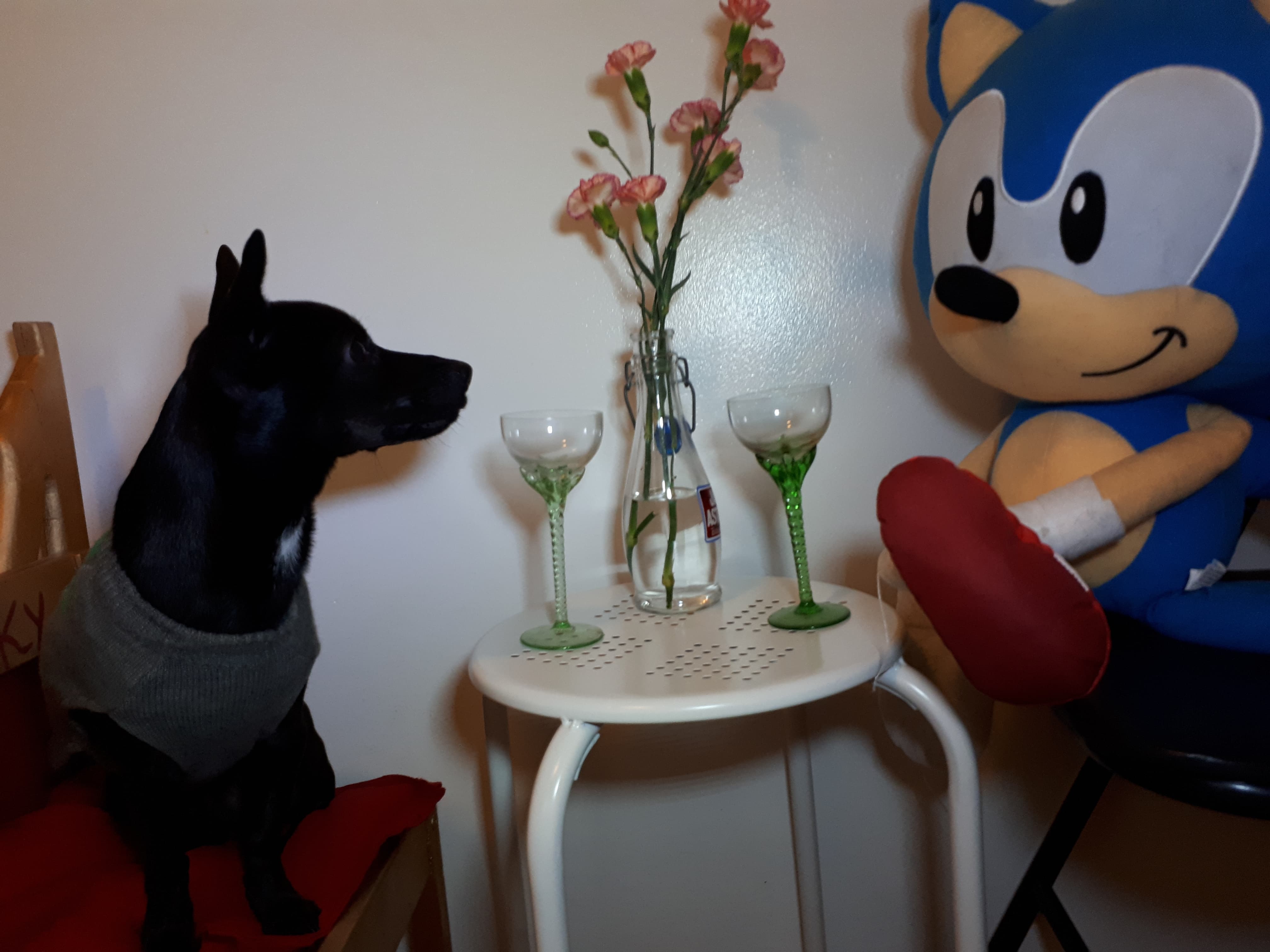 dog with a blog 1