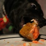 IMG_9864