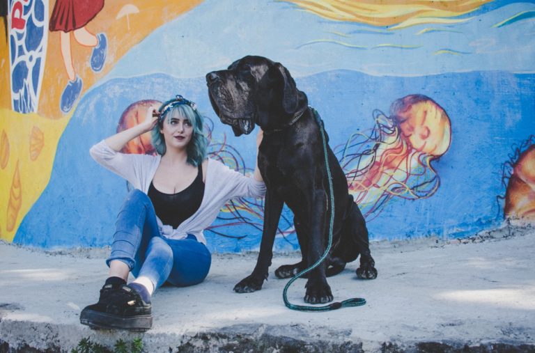 Owners More Satisfied with Big Dogs. Agree?