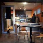 dog cafe 2