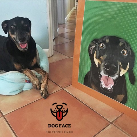 dog pop art