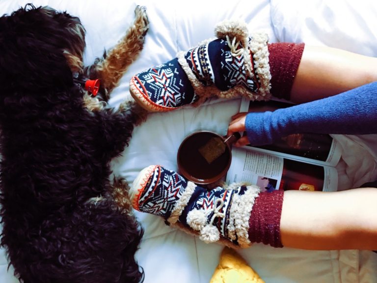 dog socks