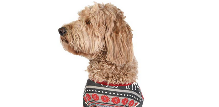 Dog Christmas Onesie