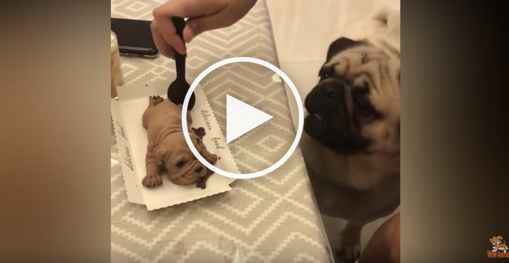dog birthday cake