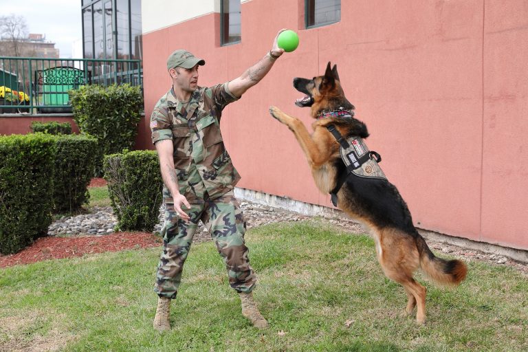war vet toy