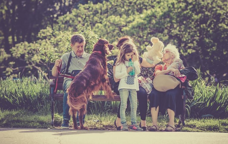 101+ Fun Things To Do With Your Dog: Free, Low Cost and Near You 101+ Fun Things To Do With Your Dog: Free, Low Cost and Near You