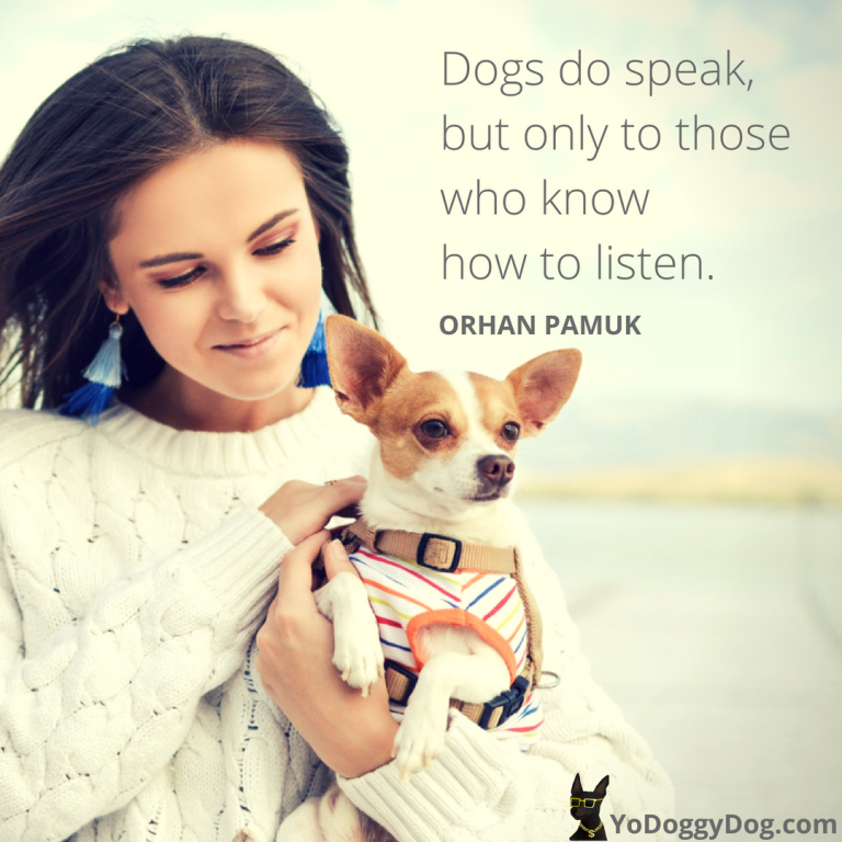 quotes about dogs