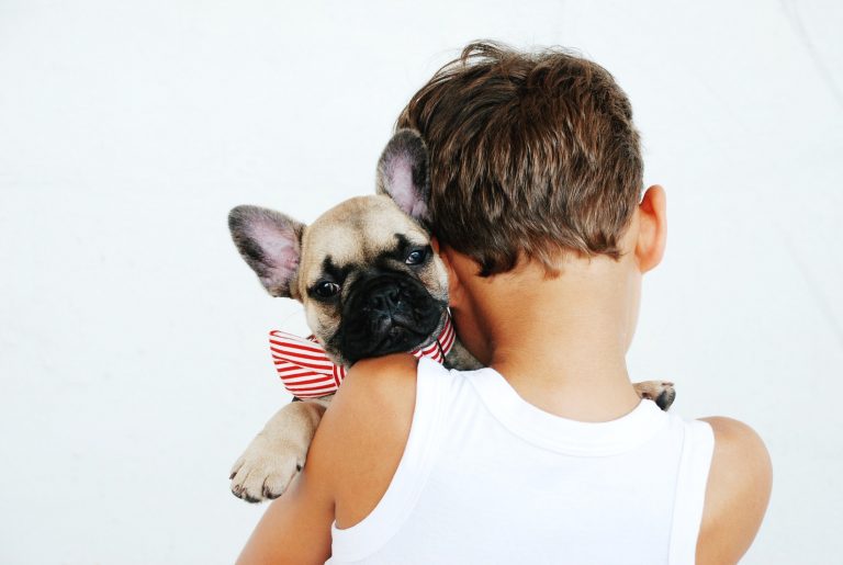 kids and dogs