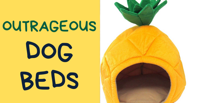 novelty dog bed