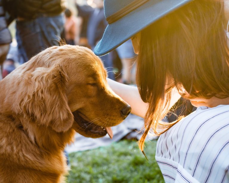9 Dog Walking Skills to Look for When Choosing A Dog Walker
