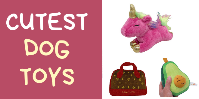 cool dog toys