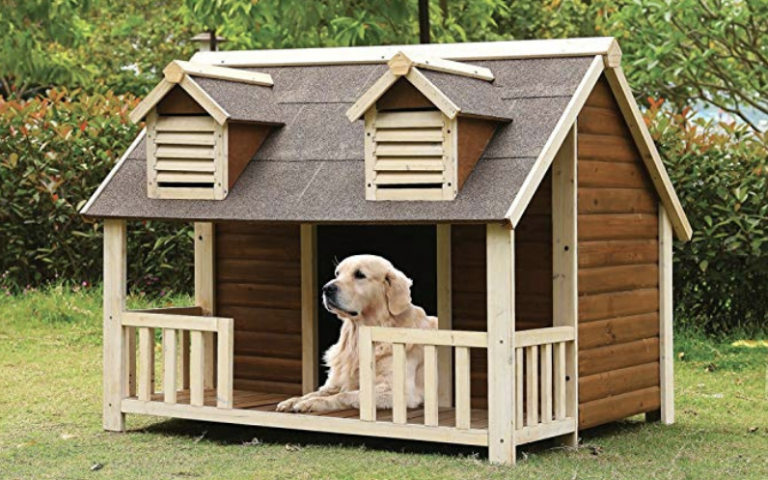 dog cage houses