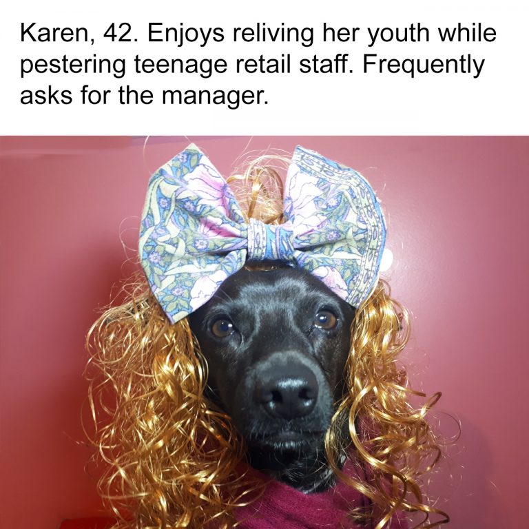 dog meme bios