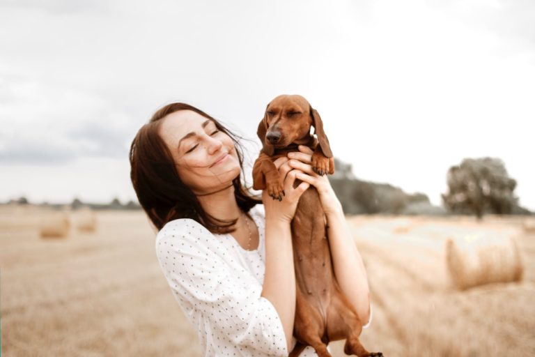 brain training for dog