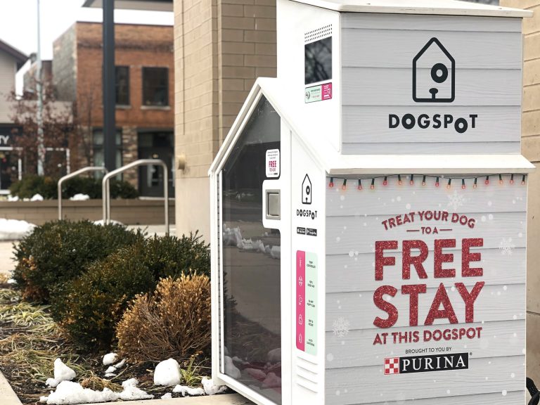 heated dog house