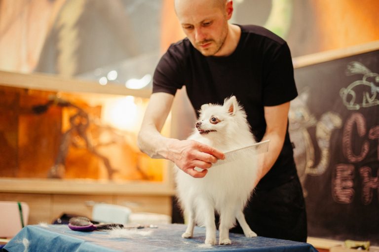 Why Grooming Your Dog Regularly Can Help Improve Health and Behaviour
