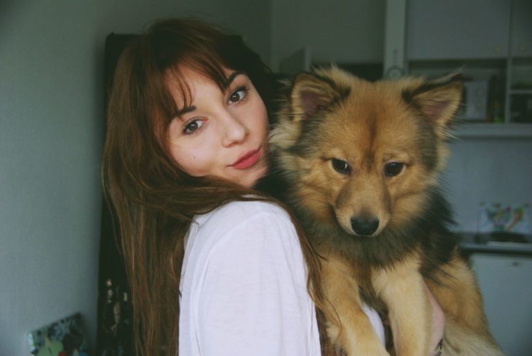 indoor activities with dog