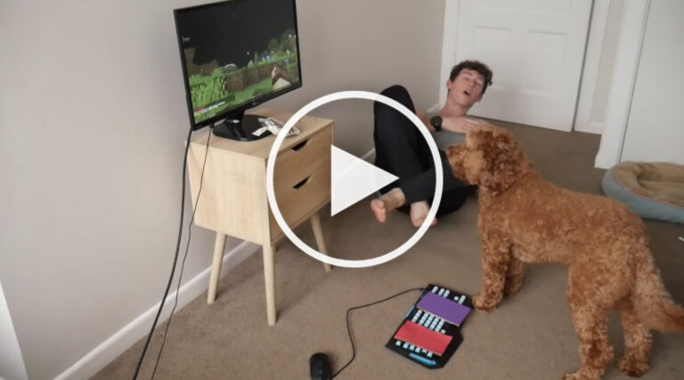 VIDEO: I Bet This Dog Can Play Minecraft Better Than You Ever Could VIDEO: I Bet This Dog Can Play Minecraft Better Than You Ever Could