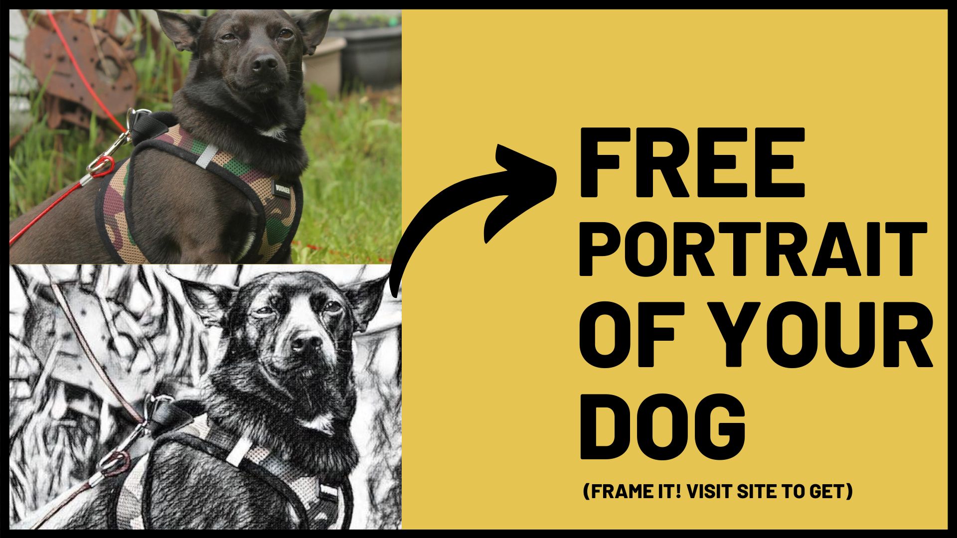 free dog drawing