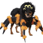 dog halloween costum