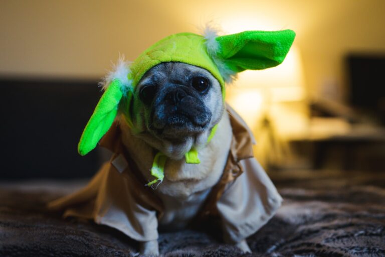 165+ Halloween Dog Names So Scary You’ll Pee Your Pants 165+ Halloween Dog Names So Scary You’ll Pee Your Pants