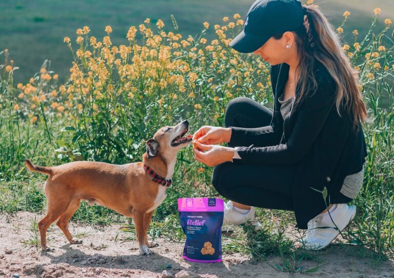 10 Risky Mistakes New Dog Owners Make