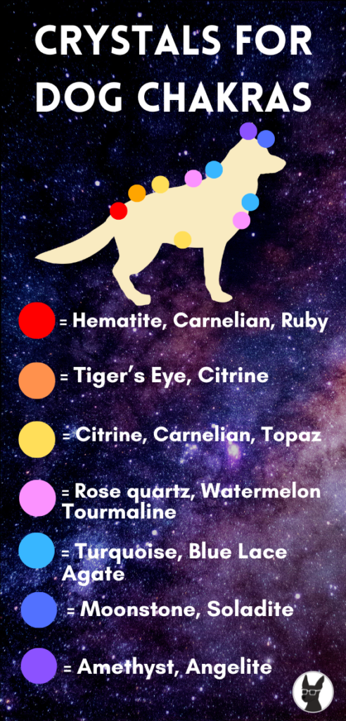 dog chakra crystals