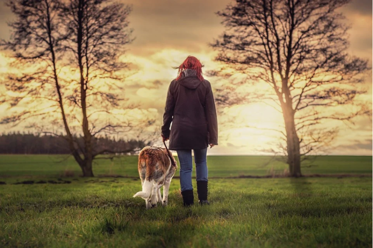 Must-Have Dog Walking Gear for Your Fur-Baby and You Must-Have Dog Walking Gear for Your Fur-Baby and You